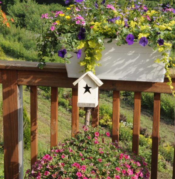 container garden on deck with birdhouse