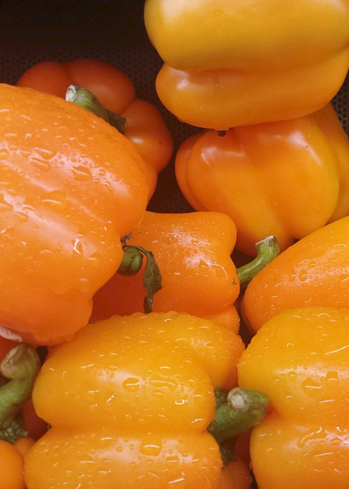 yellow bell peppers